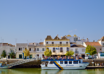 Sardinen som spiste boligmarkedet