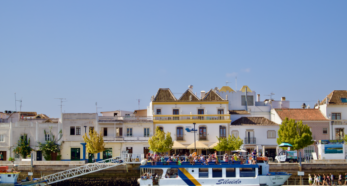 Sardinen som spiste boligmarkedet